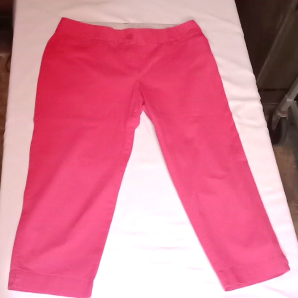 Loft 6p Pink Pants